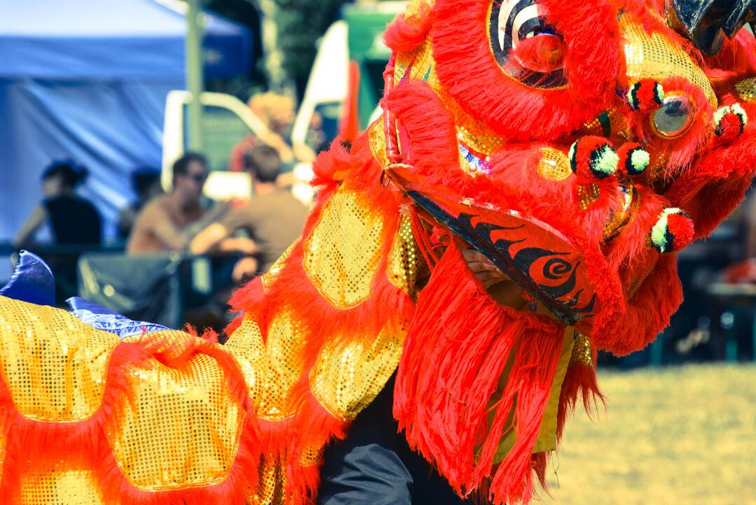 Festivalio „Bliuzo naktys“ akimirkos