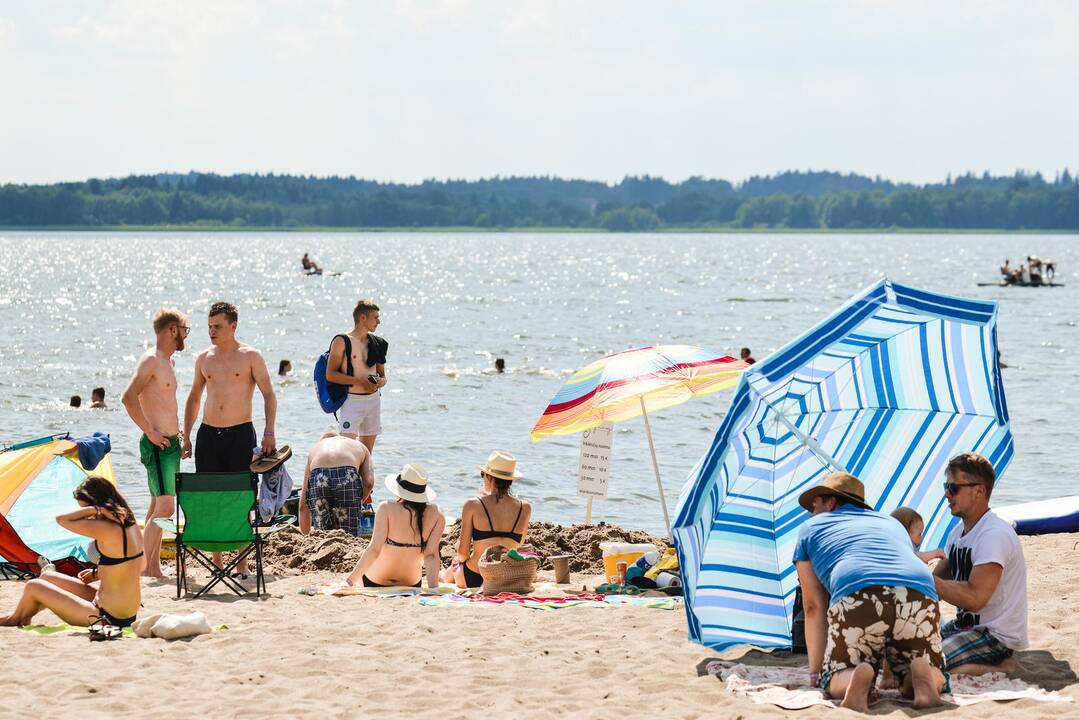 Festivalio „Bliuzo naktys“ akimirkos