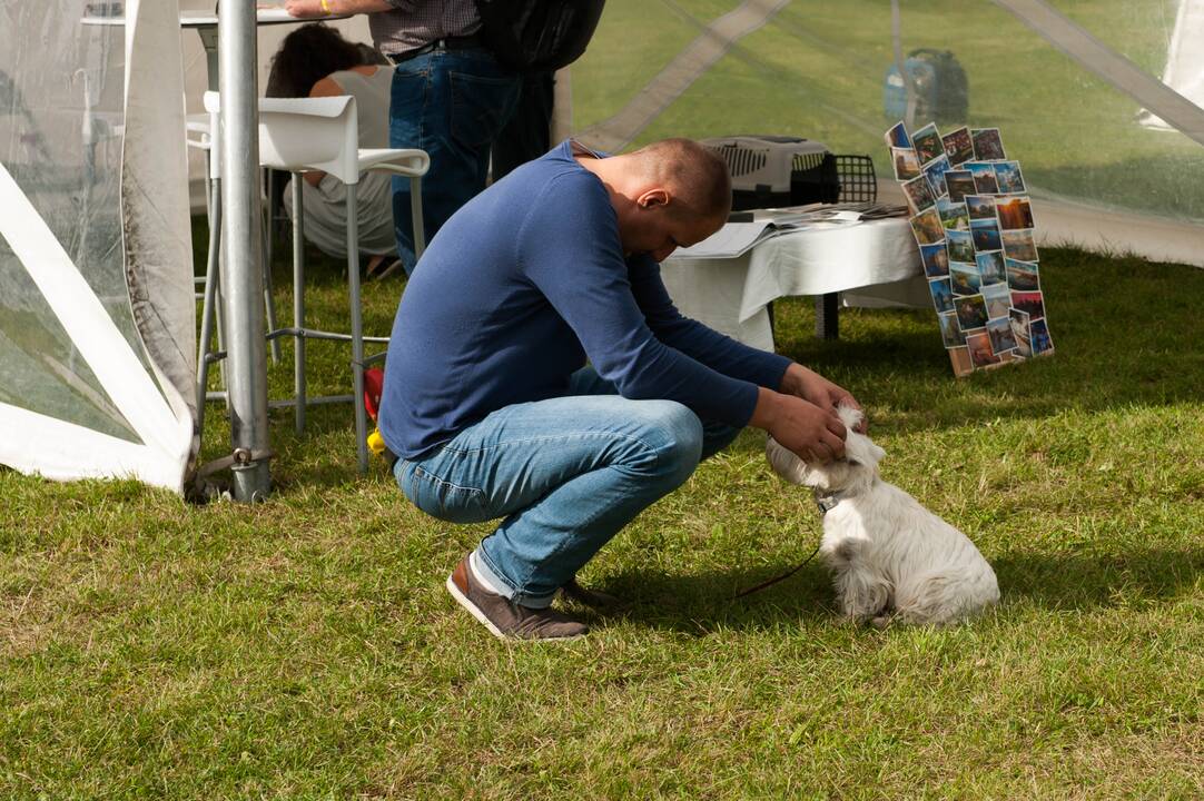 „Laisvės piknikas“ Nemuno saloje