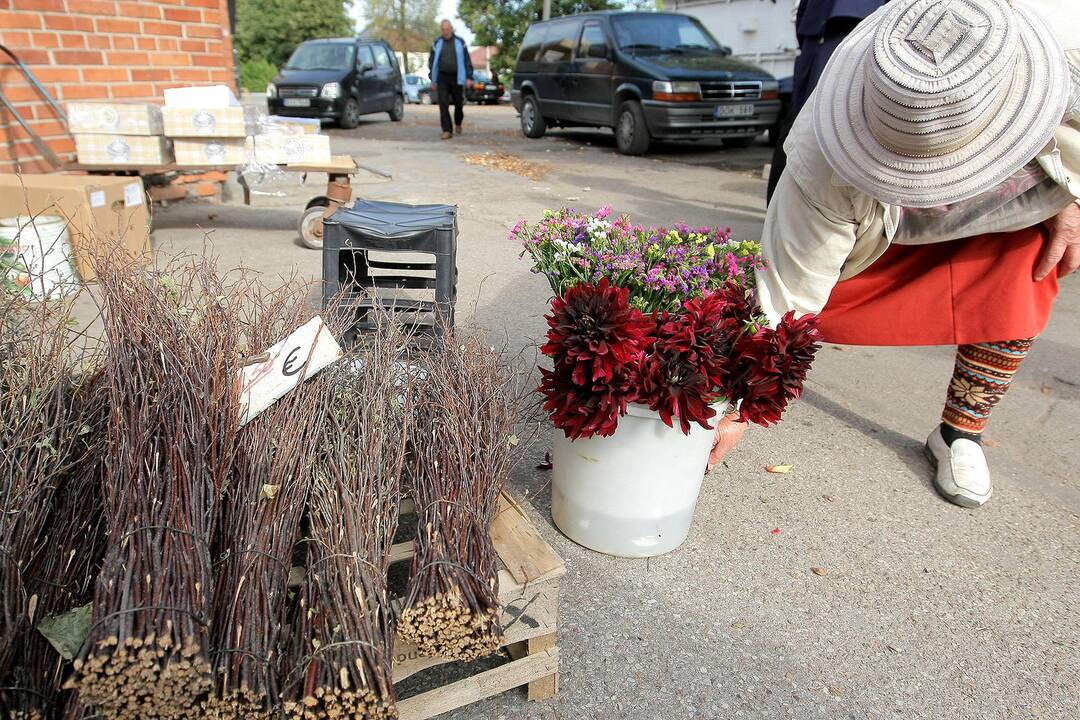 Pasižvalgymas po Kauno Žaliakalnio turgų.