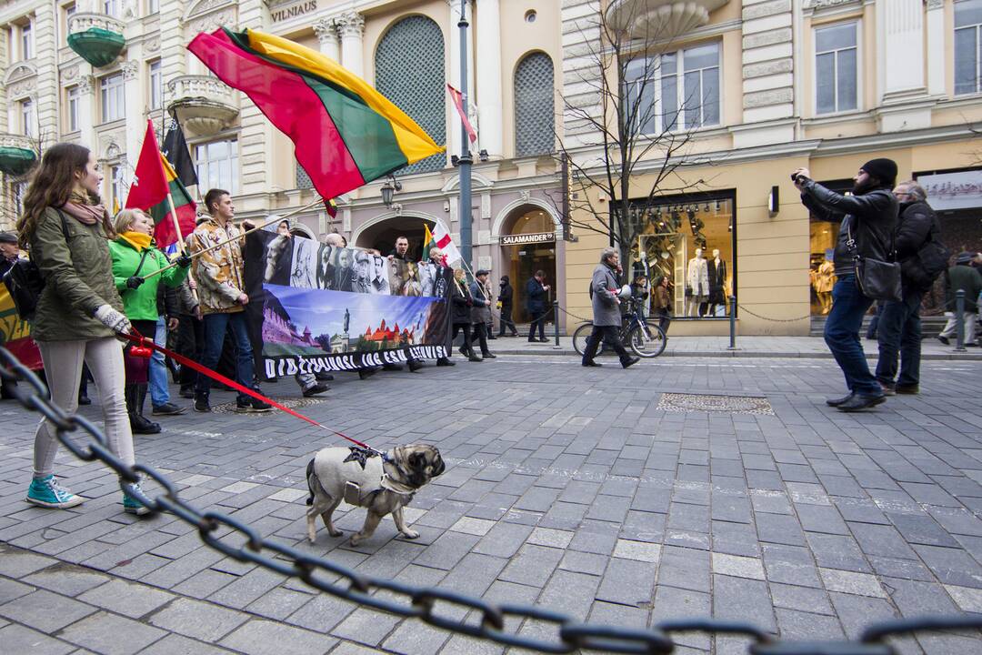 Tautininkų eitynės sostinėje