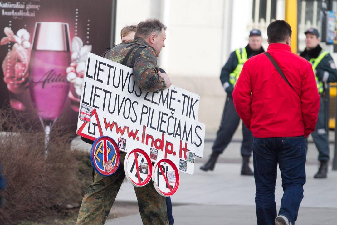 Tautininkų eitynės sostinėje