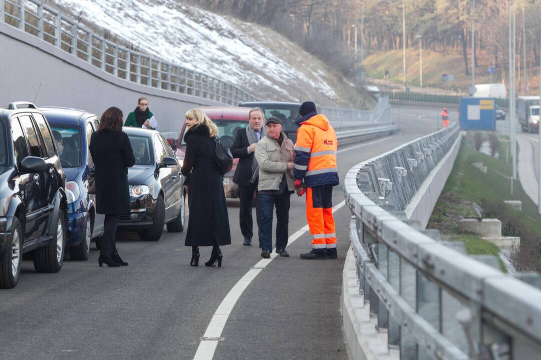 Geležinio vilko estakada Vilniuje