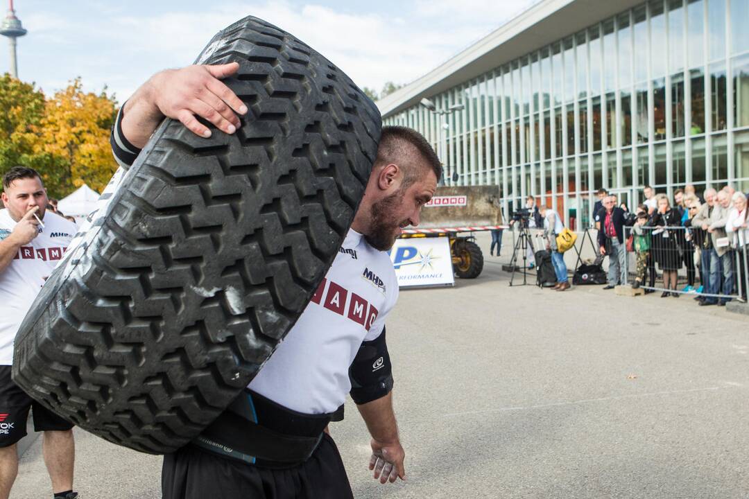 Vilniaus sporto festivalis 2015