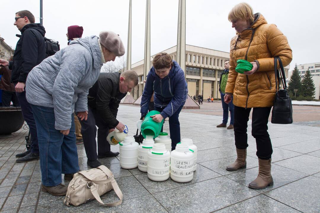 Pieno gamintojų protesto akcija