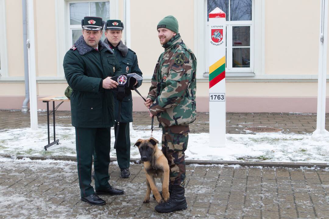 Ramzio pamaina – belgų aviganis Marsas