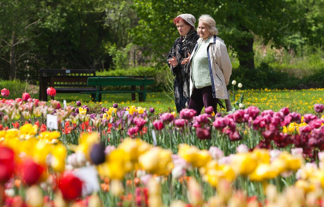 Saugomų teritorijų ir parkų tvarkymui – 50 mln. eurų