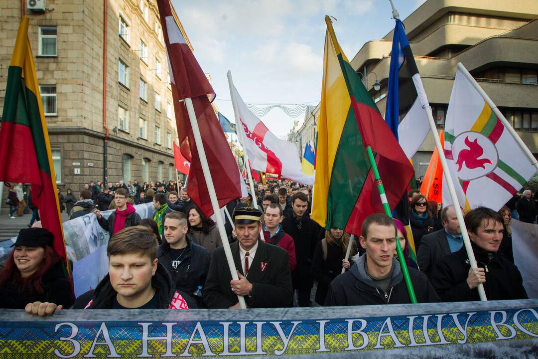 Patriotinės eitynės „Tėvynei“ sostinės Gedimino prospektu