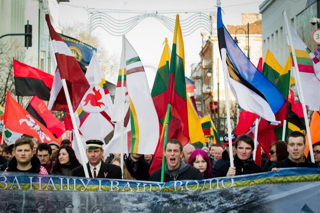 Patriotinės eitynės „Tėvynei“ sostinės Gedimino prospektu