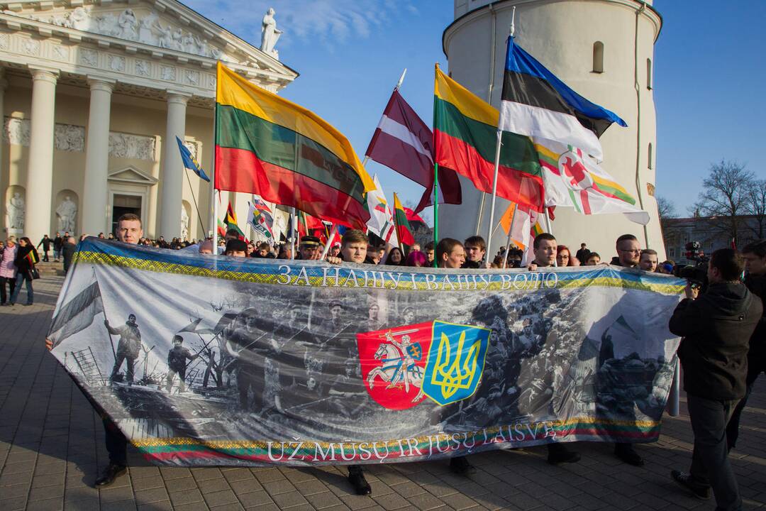 Patriotinės eitynės „Tėvynei“ sostinės Gedimino prospektu