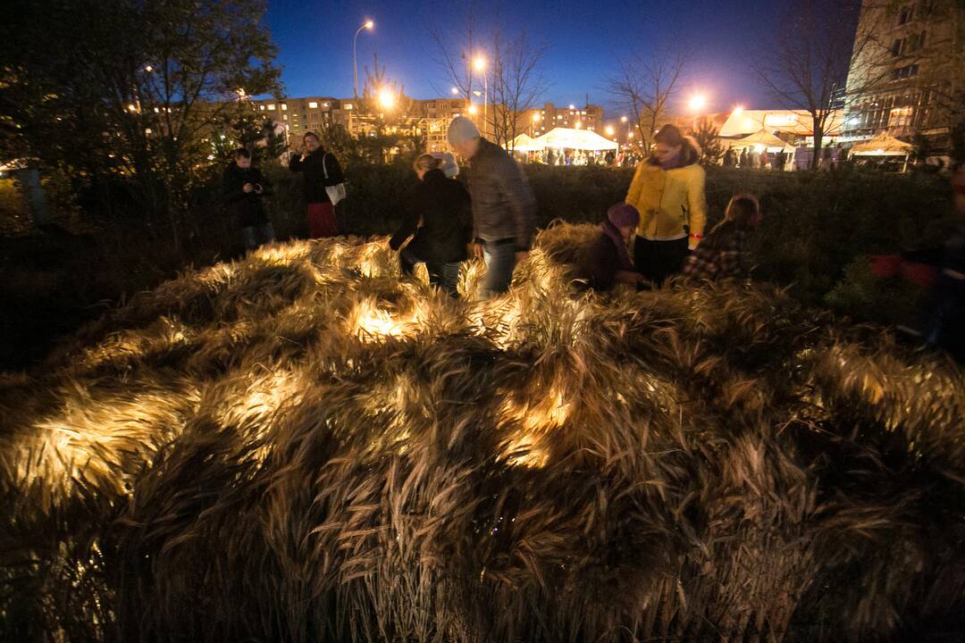 Šviesų instaliacijos festivalis „Beepositive 2013“