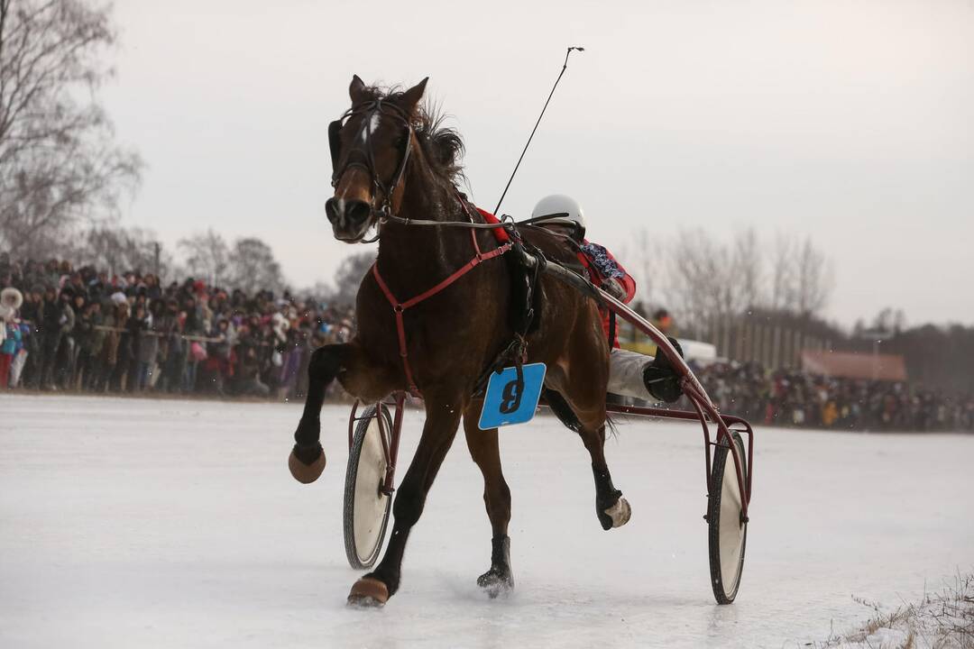 Sartų žirgų lenktynių šventė