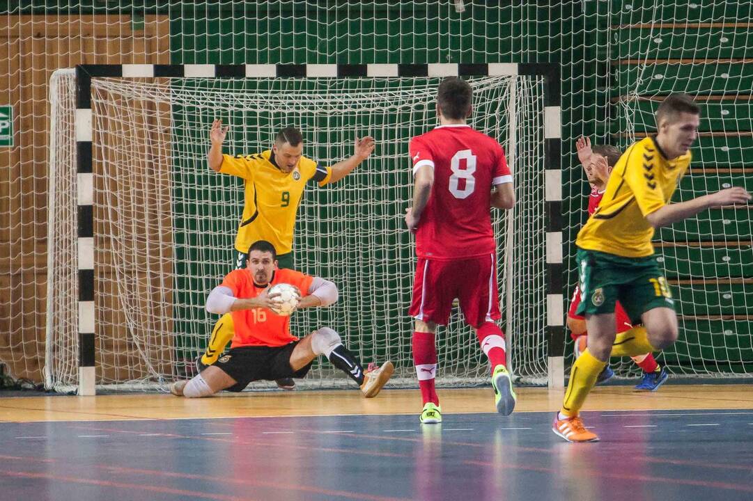 Futbolas: Lietuva - Šveicarija