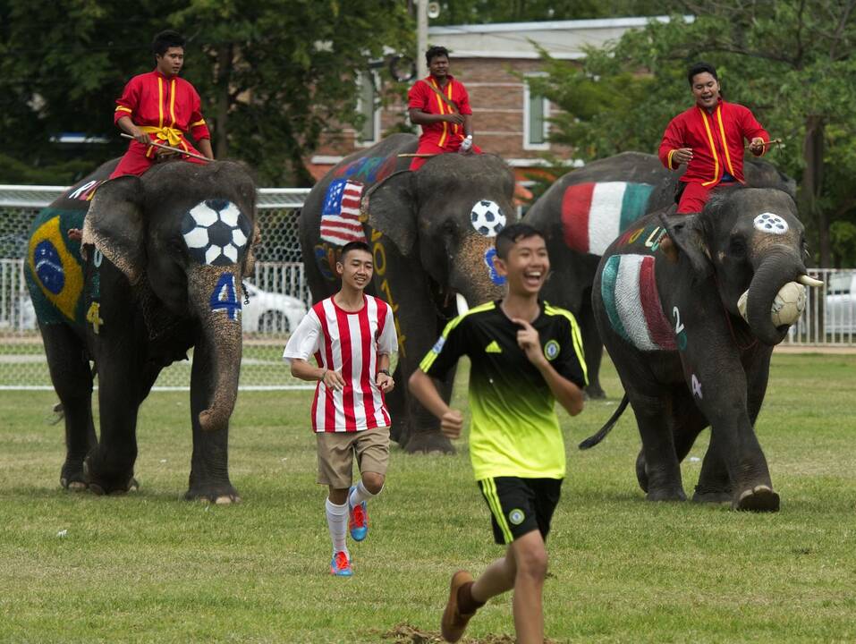 Futbolo fanai laukia artėjančio čempionato