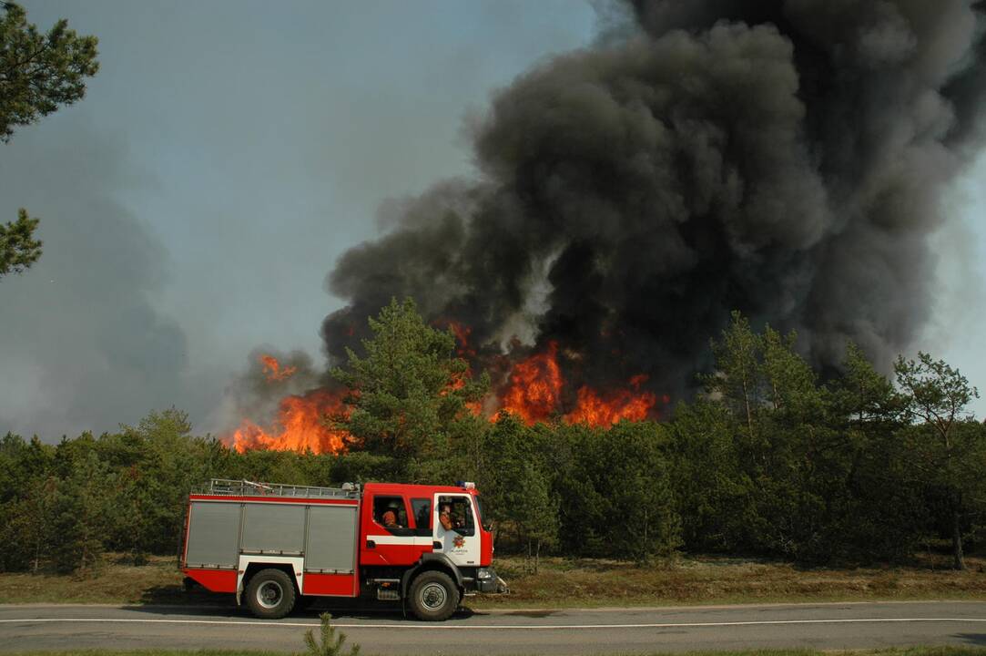 Versija: Smiltynės mišką galbūt padegė asmenys, siekiantys susidoroti su Valstybės saugomų teritorijų tarnybos vadove R.Baškyte.