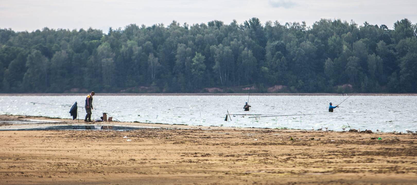 Aplinkosaugininkų reidas Kaune