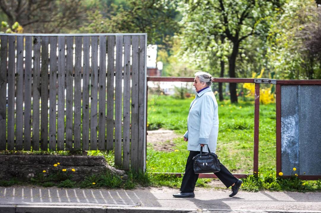 Pasivaikščiojimas po Vaidoto gatvę