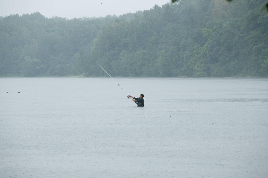 Kauno marių regioninis parkas