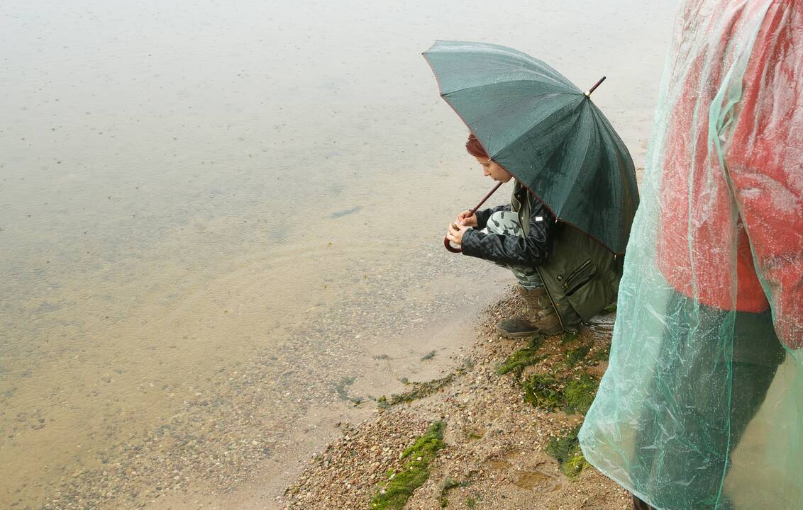 Kauno marių regioninis parkas