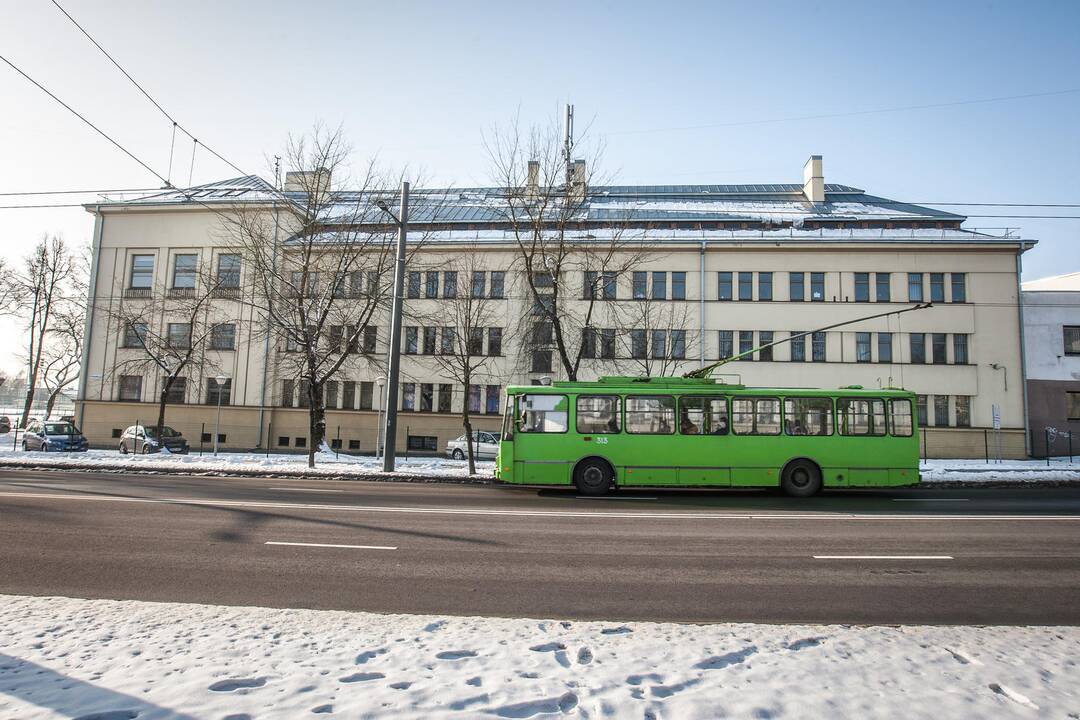 Pasivaikščiojimas K. Petrausko gatve