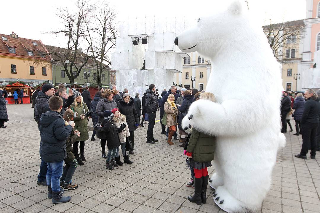 Antroji Kalėdų diena prie Kauno eglės