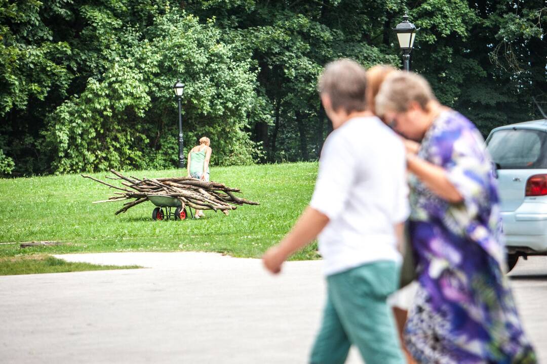 Landart meno kūrimas Raudondvario dvaro parke