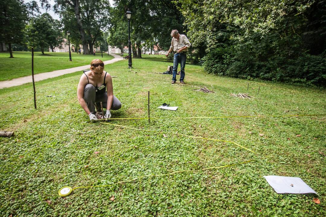 Landart meno kūrimas Raudondvario dvaro parke