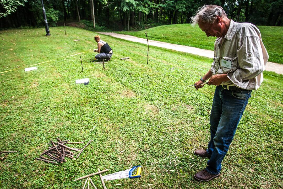 Landart meno kūrimas Raudondvario dvaro parke