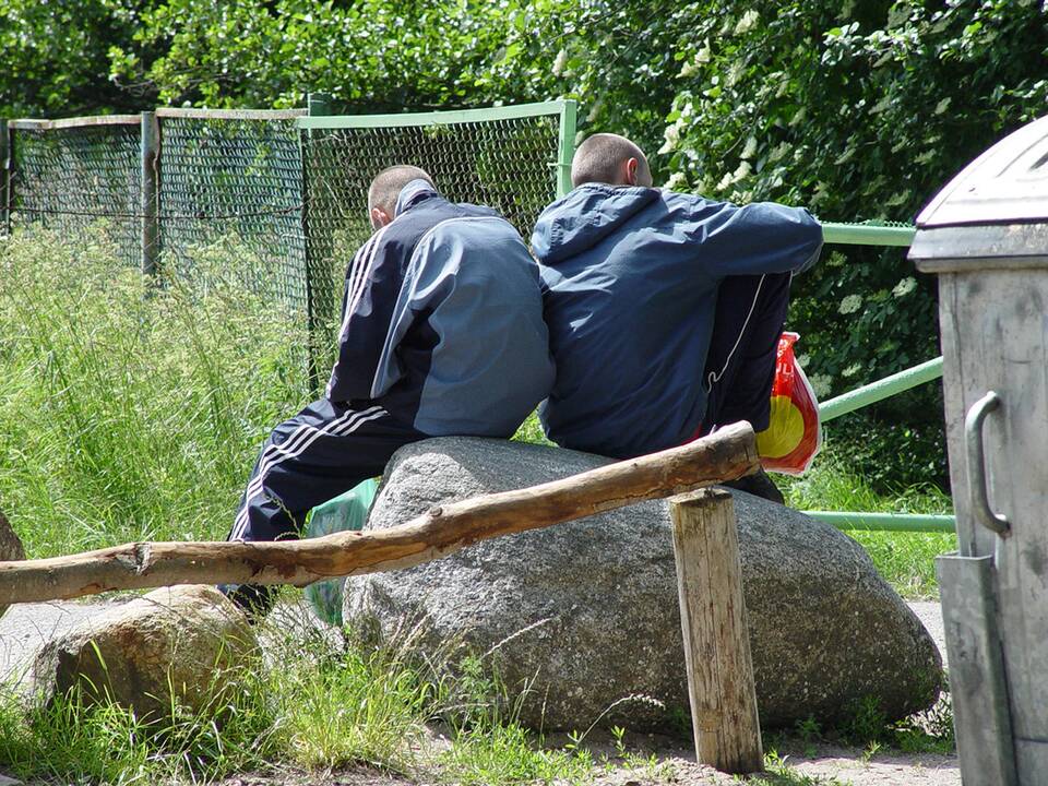 Klaipėdą baugina vaikų gauja