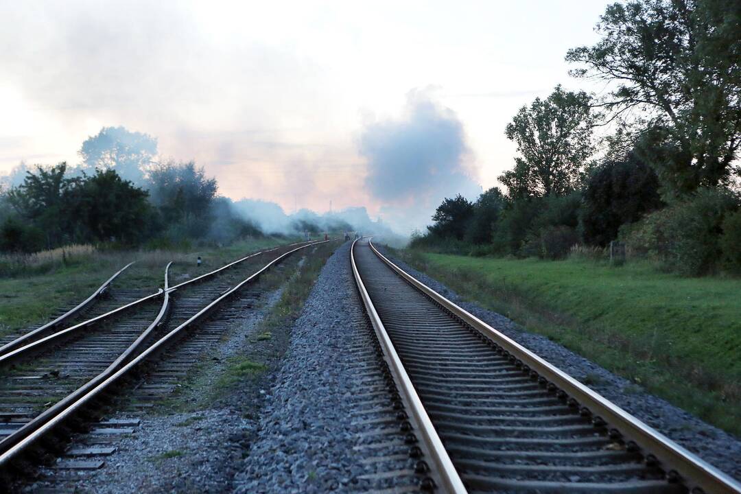 Užsidegė sodo namelis