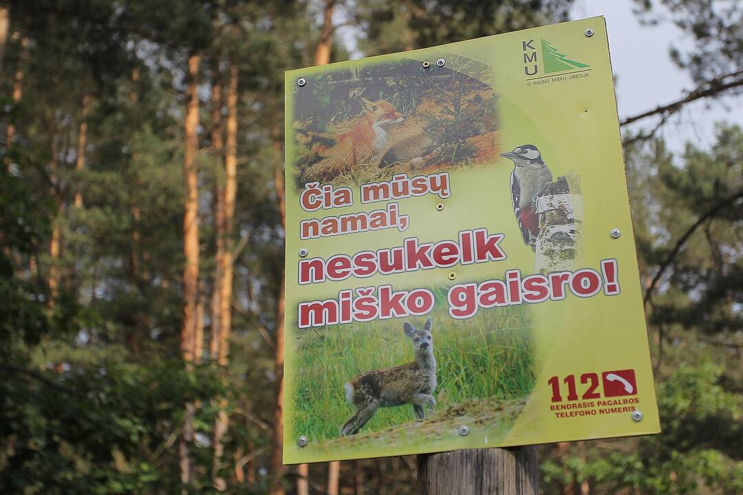 Miškuose – padidėjęs gaisrų pavojus