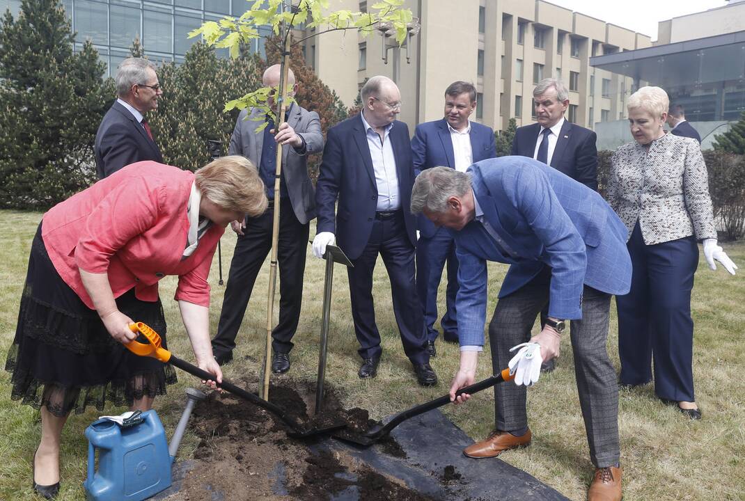 Seimo pirmininkai pasodino ąžuolą