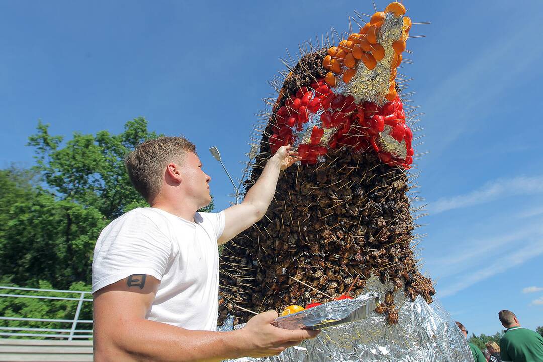 Paukščių festivalis Kaišiadoryse