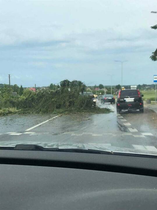 Lietuvą siaubia lietus ir viesulas