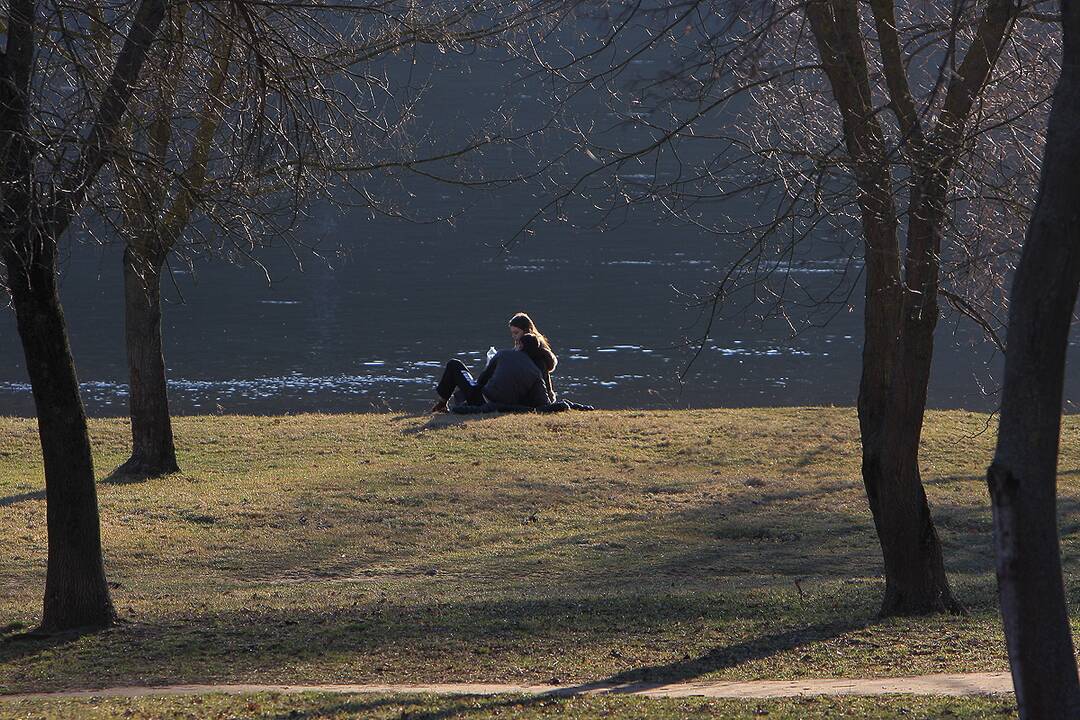 Kauno gatvėse – įsimylėjėlių gausa 