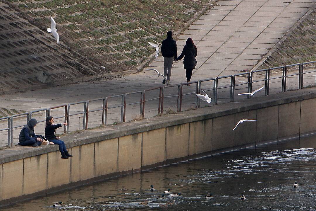 Kauno gatvėse – įsimylėjėlių gausa 