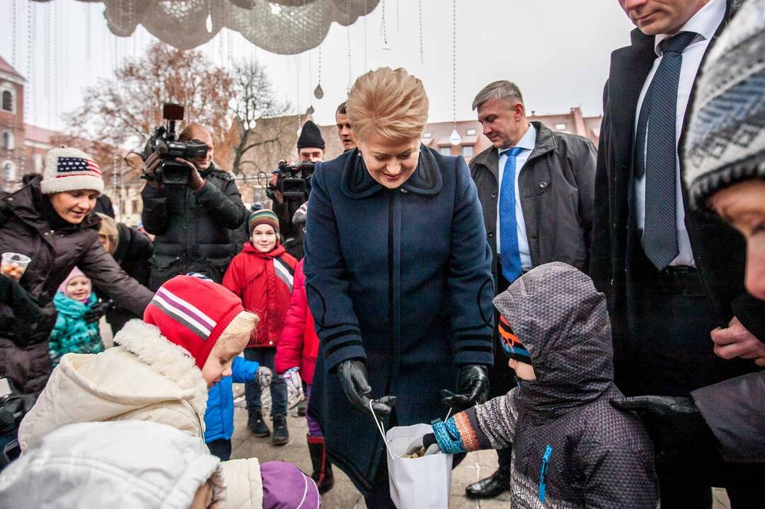 Prezidentė apžiūrėjo Kauno pagrindinę eglę