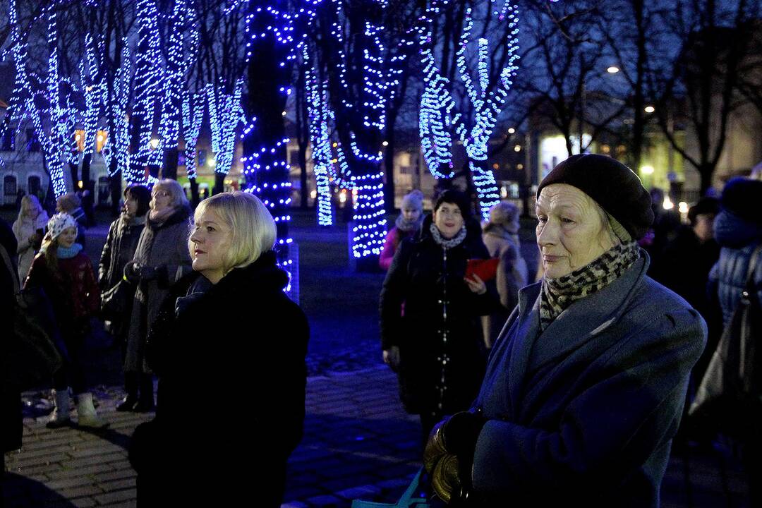 Kalėdoms nušvitęs Istorinės prezidentūros sodelis