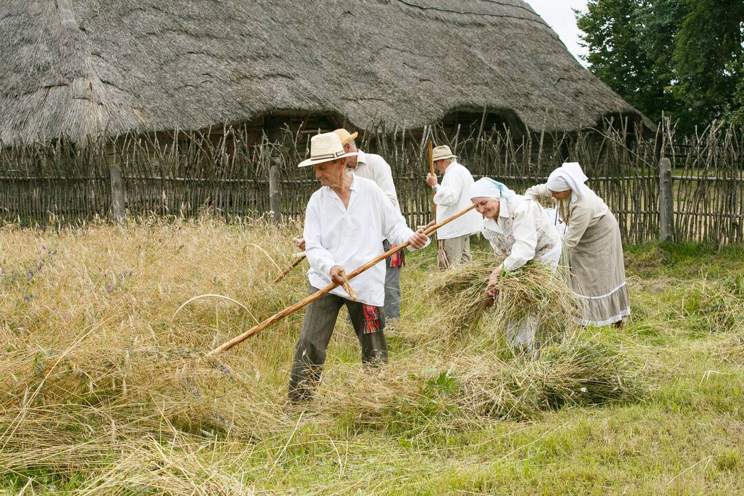 Naujo derliaus ir Onų vardinės Rumšiškėse