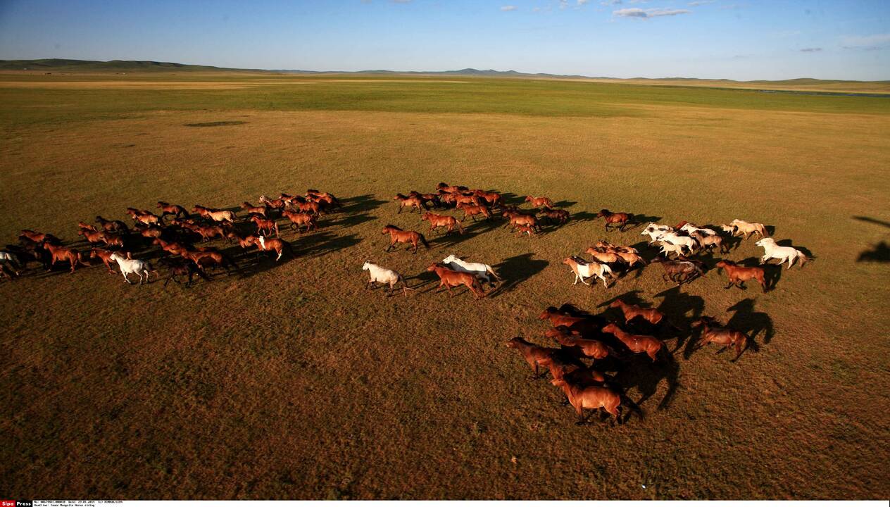 Žirgo metų simbolio fotosesija Mongolijos stepėse