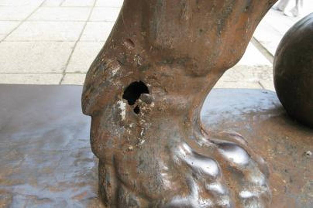 Skylėti liūtai švenčia 70 metų jubiliejų