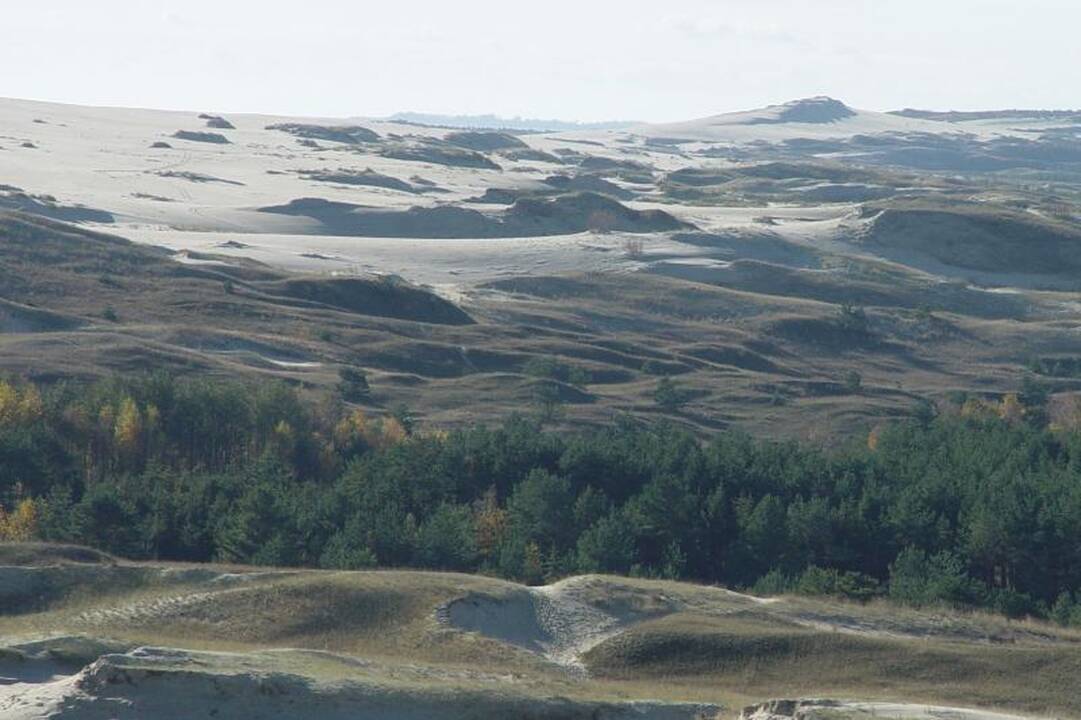 Nidoje - atvira Lietuvių kalbos instituto jaunųjų tyrėjų stovykla