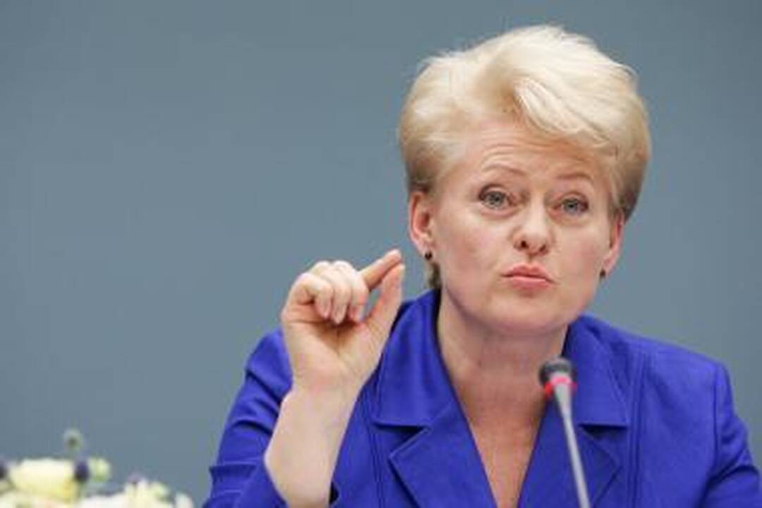 Prezidentė: reikia užtikrinti, kad būtų pritraukta studentų ir į nepopuliarias specialybes
