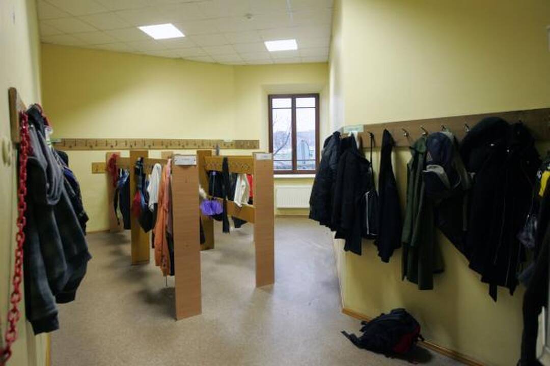 Vilniaus mokykloje nustatytas kiaulių gripo atvejis (papildyta)