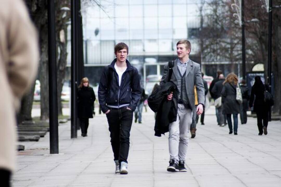Preliminarūs surašymo duomenys: Lietuvoje gyvena 3,05 mln. gyventojų