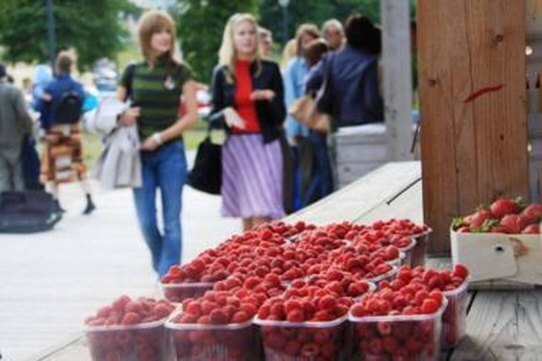 Tymo turgus veikia tiems, kas spėja