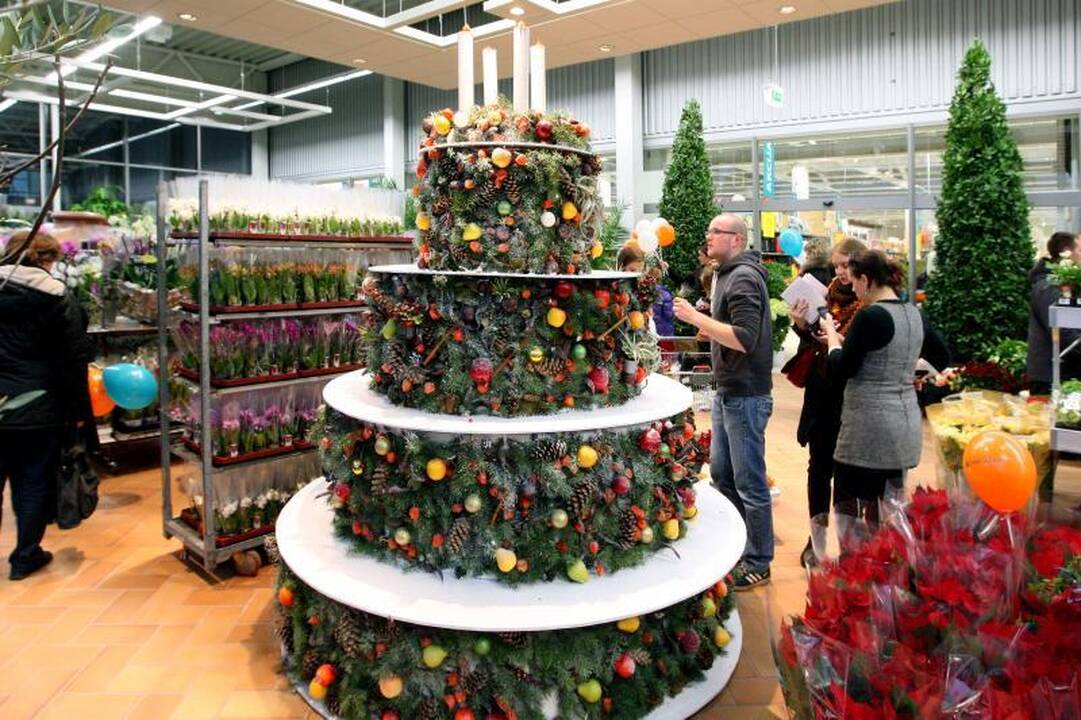 „Ermitažo“ atidarymo šventėje – 350 kg nekaloringas tortas