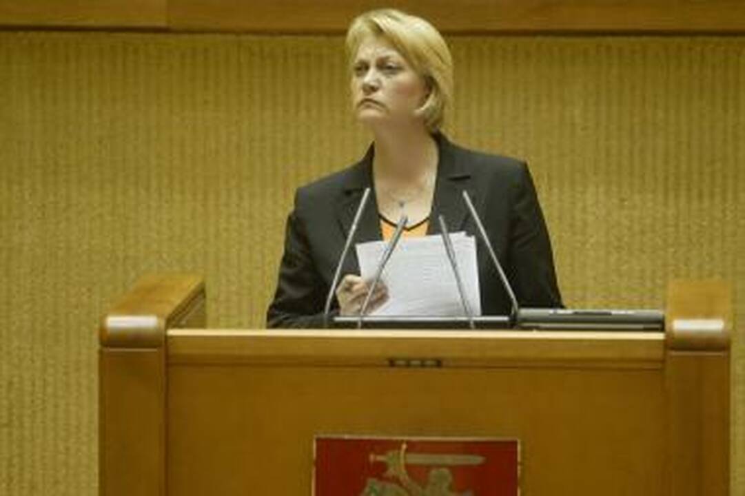 Viešojo administravimo spragos: valdininkų funkcijos dubliuoja viena kitą 