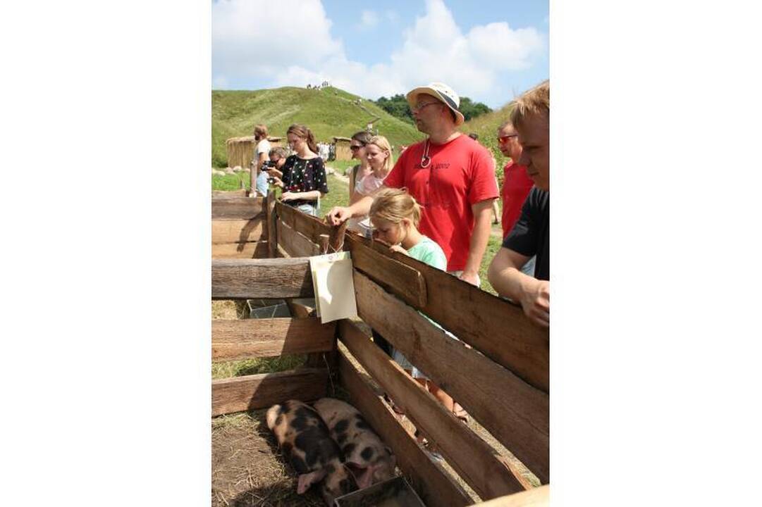 Gyvosios archeologijos dienos - Kernavėje