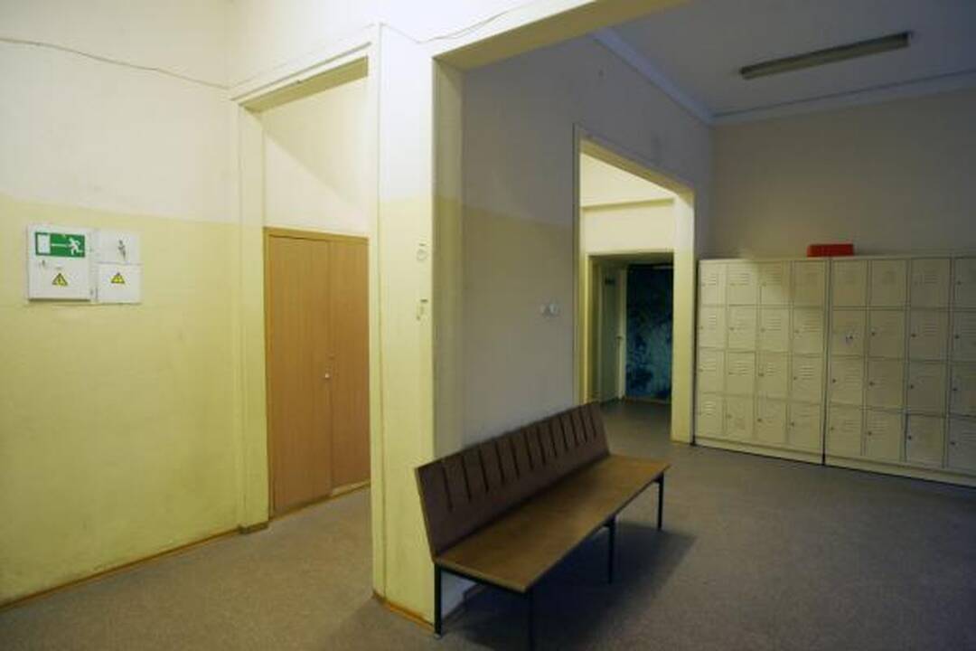 Vilniaus mokykloje nustatytas kiaulių gripo atvejis (papildyta)